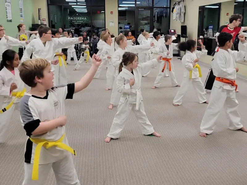 Kids Martial Arts 3, American Martial Arts Academy Chester Springs