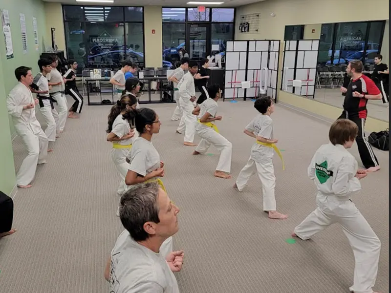 Teen Martial Arts Classes | American Martial Arts Academy